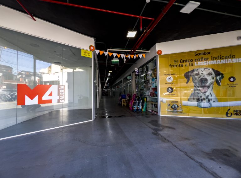 En venta salón comercial + cochera + deposito