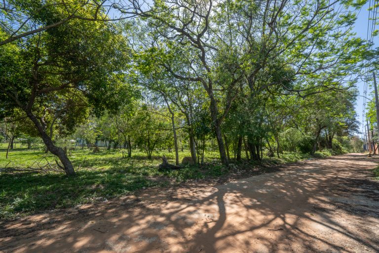 En venta – Terreno en Limpio