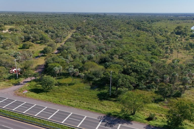 Terreno de 32 Hectáreas sobre Ruta Falcón – Clorinda