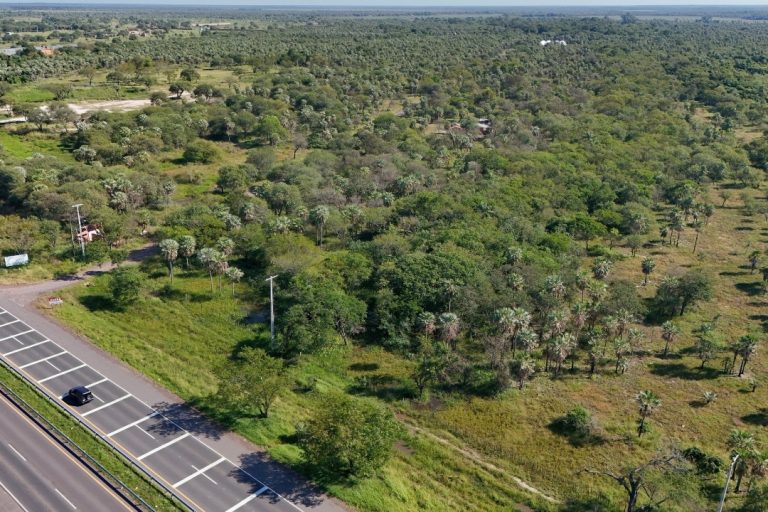 Terreno de 32 Hectáreas sobre Ruta Falcón – Clorinda